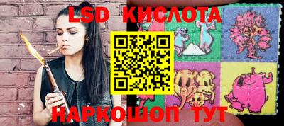 стафф Краснознаменск